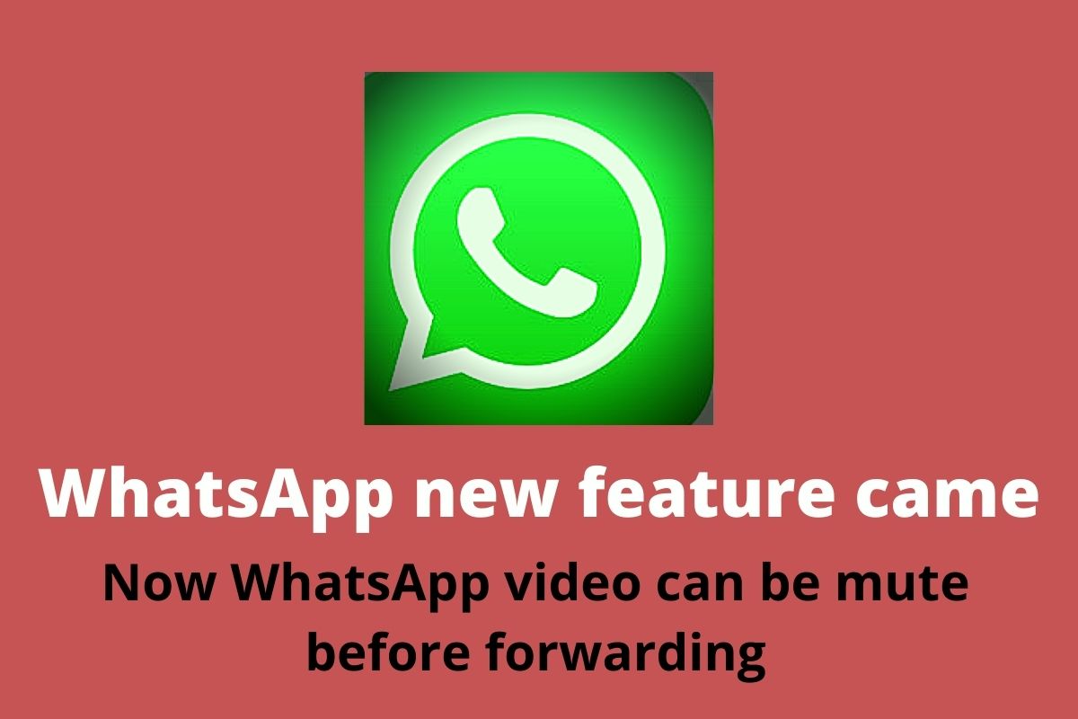 WhatsApp new feature