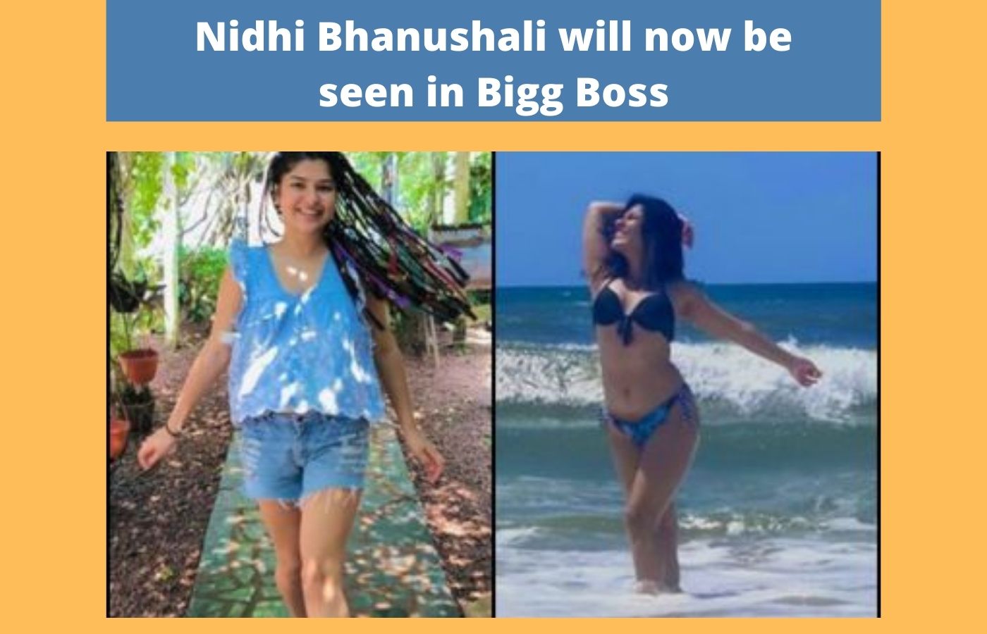 Nidhi Bhanushali will now be seen in Bigg Boss